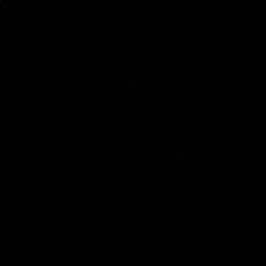 Meet your Posher, Brooklyn